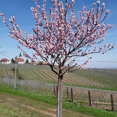 Schwind In In Der Pfalz *