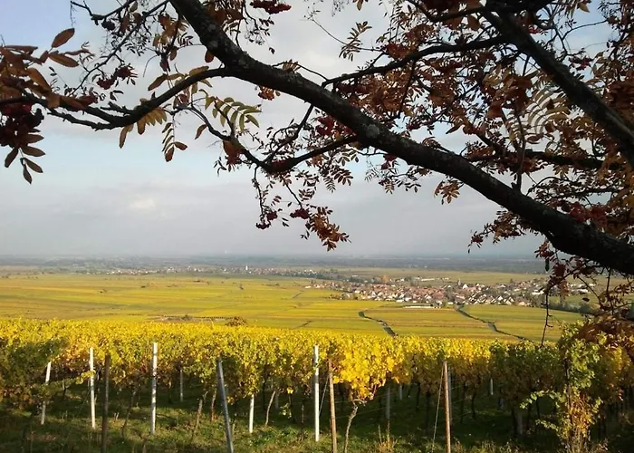Schwind In In Der Pfalz Weyher