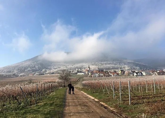 Schwind In In Der Pfalz Apartamento *