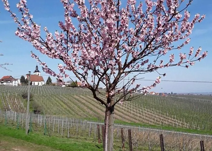 Schwind In In Der Pfalz *