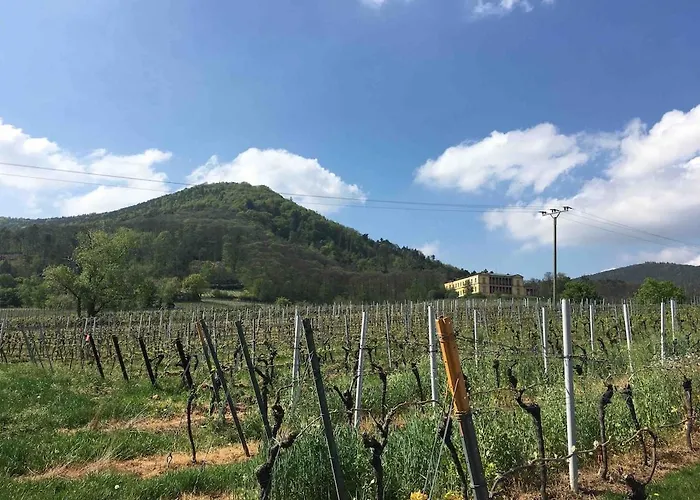Schwind In In Der Pfalz Apartamento